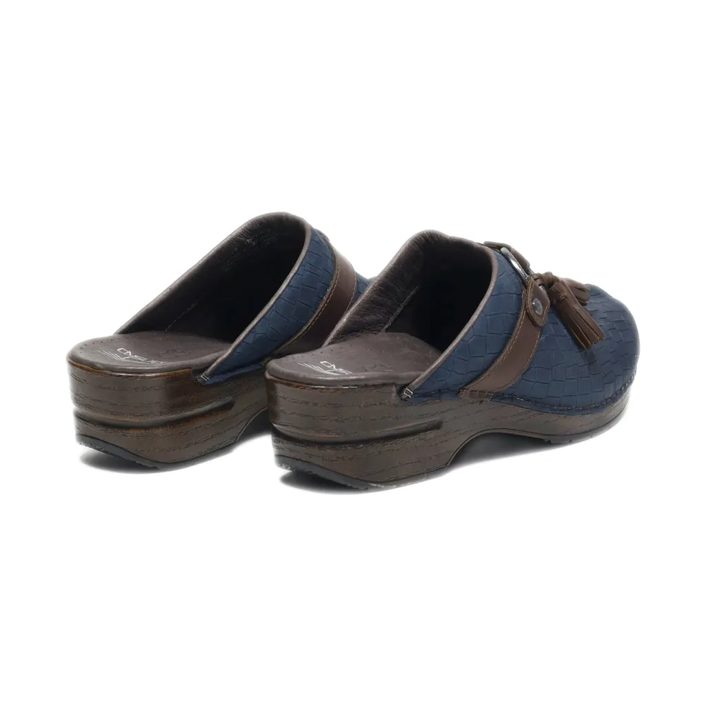 Dansko Mules Leather Blue Colour For Women