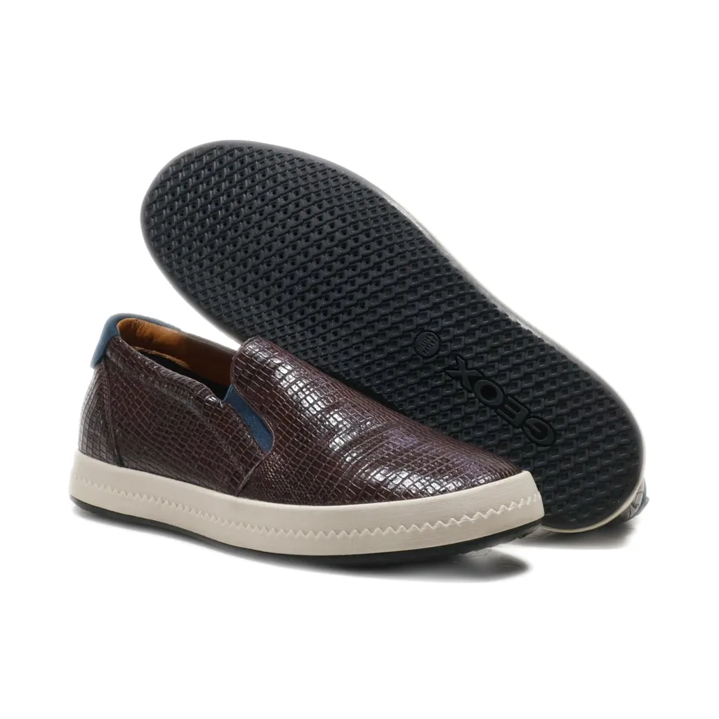 Geox Slip Ons Leather Brown Colour For Women